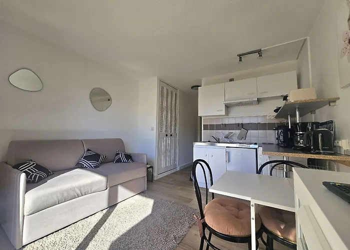 Appartamento Lumineux Avec Balcon Exposé Sud, équipé Et Classé 2 étoiles. - Fr-1-553-139