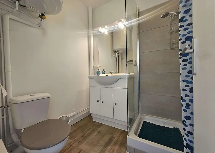 Lumineux Avec Balcon Exposé Sud, équipé Et Classé 2 étoiles. - Fr-1-553-139